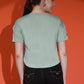 Round Neck Regular Fit Half Sleeve Crop Top T-shirt